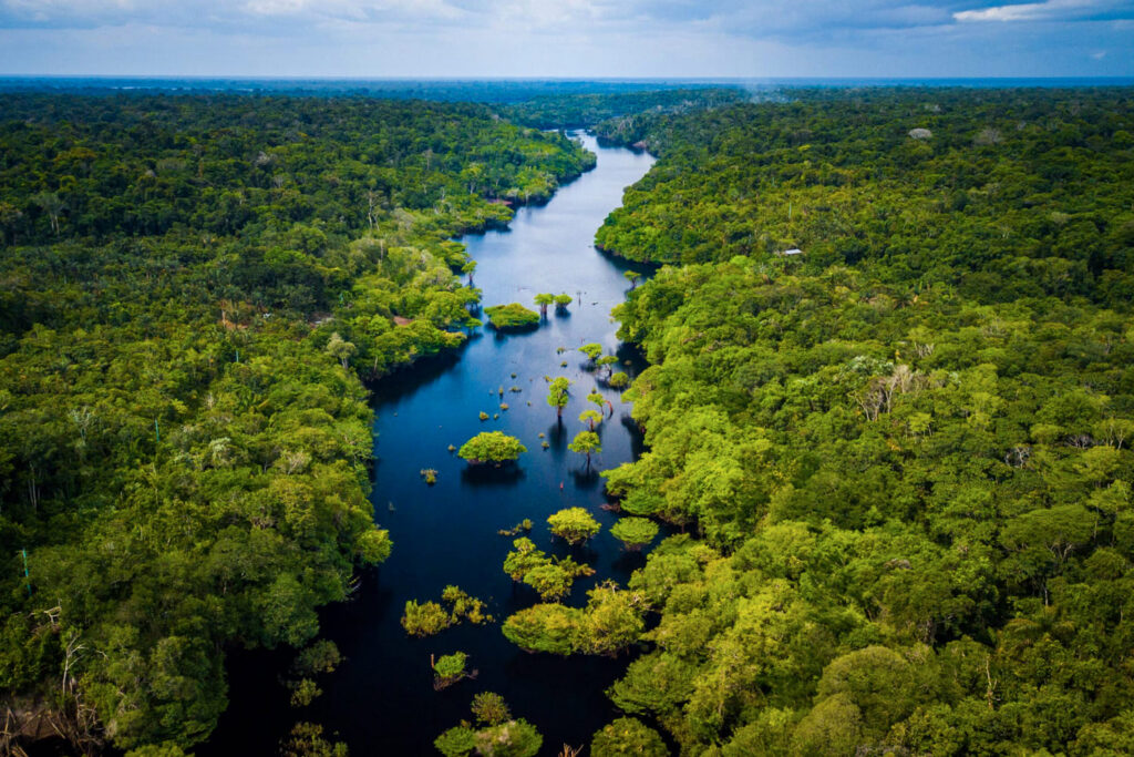 Tour de la Selva Manu